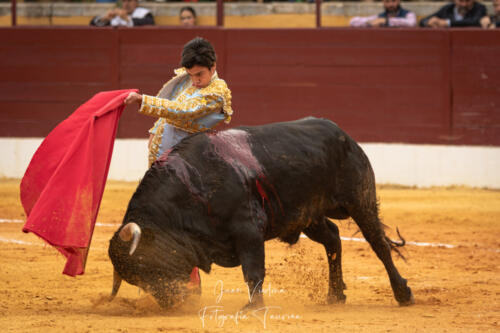 Marco Pérez